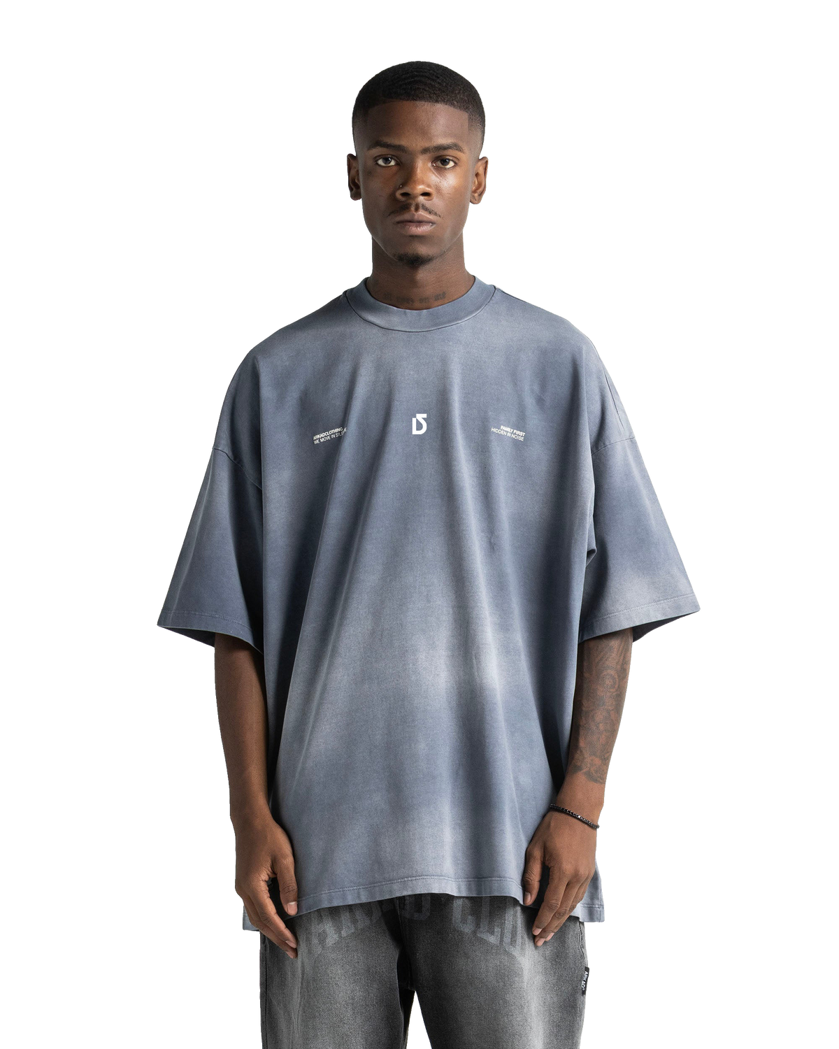 Washed Tee Gray Blue Print